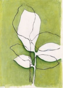 Margje Heintze